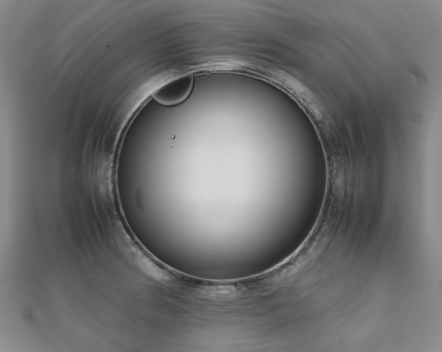 X0000112471186200908171152