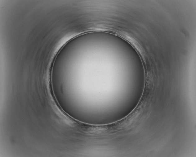 X0000112471187200908171152