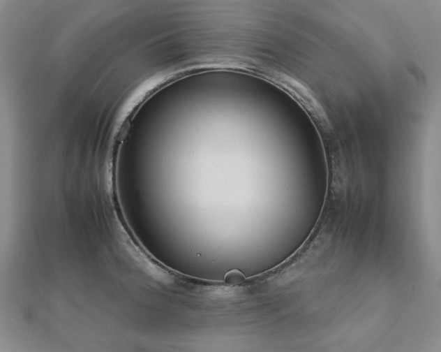 X0000112471188200908171152