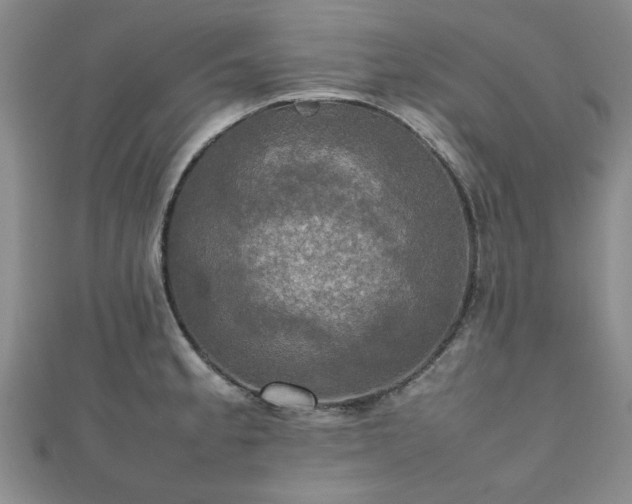 X0000112471189200908171152