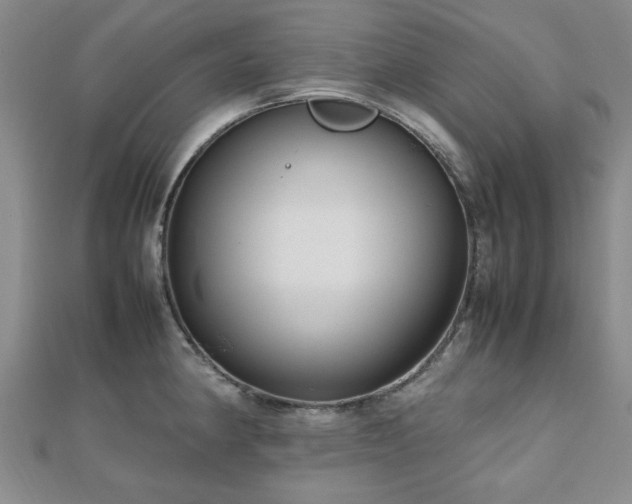 X0000112471190200908171152