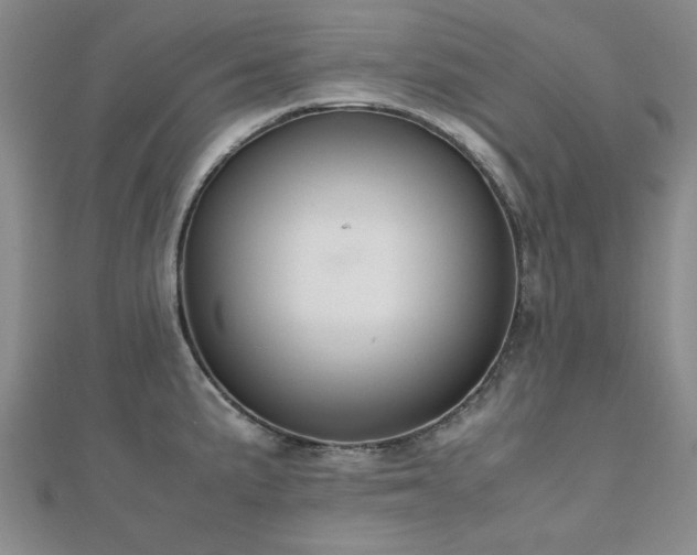 X0000112471191200908171152