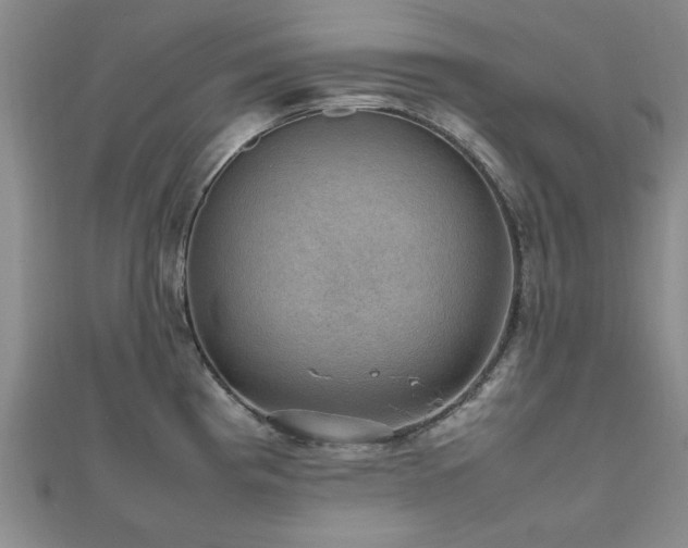 X0000112471193200908171152