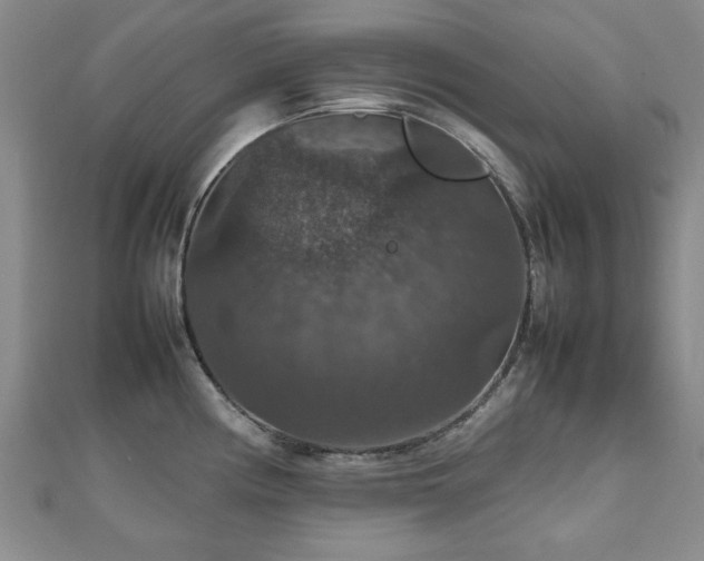 X0000112471194200908171152