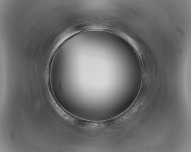 X0000112471195200908171152