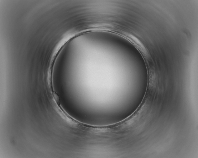 X0000112471196200908171152