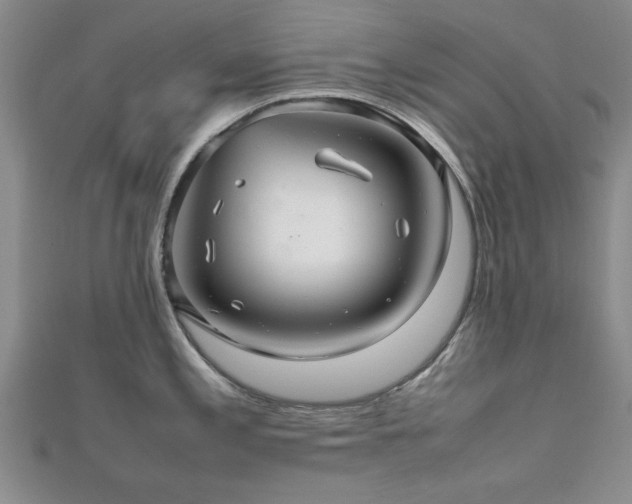 X0000112471197200908171152