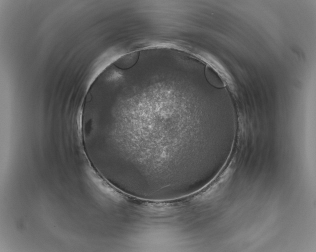 X0000112471198200908171152