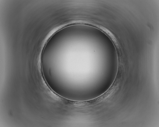 X0000112471199200908171152