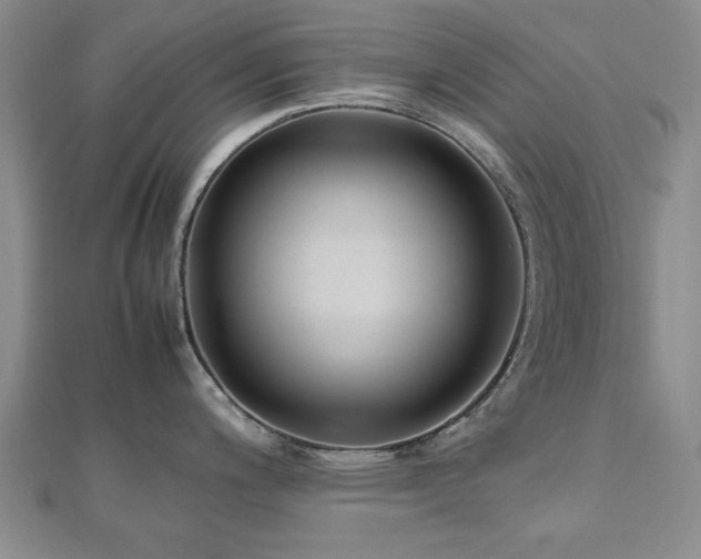 X0000112471200200908171152