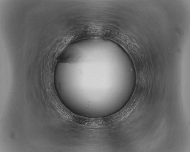 X0000112471201200908171151