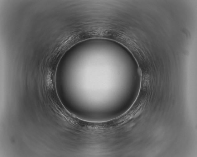 X0000112471202200908171151