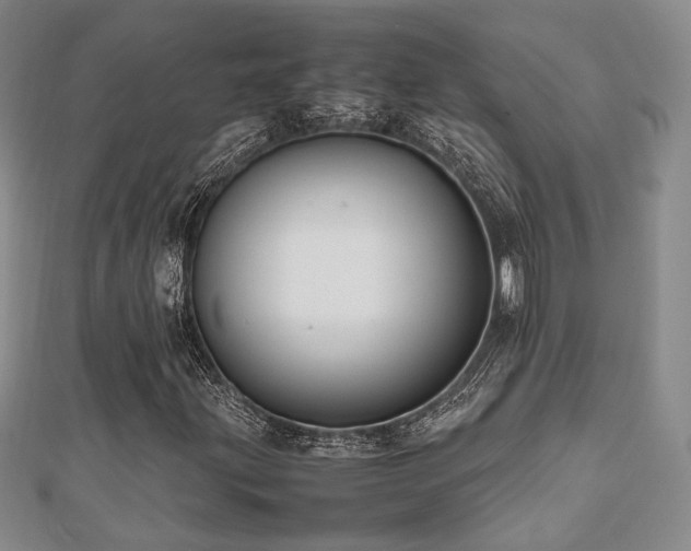 X0000112471203200908171151