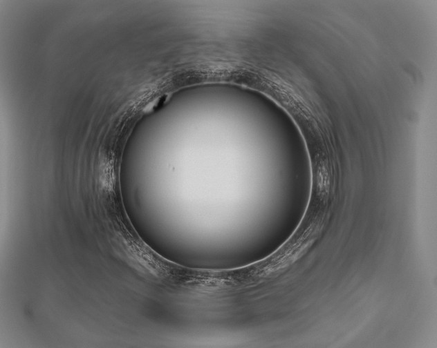 X0000112471204200908171151