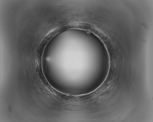 X0000112471206200908171151