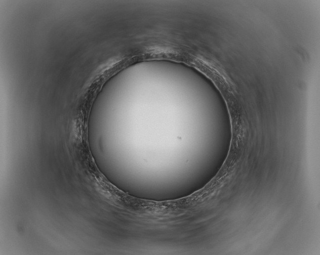 X0000112471207200908171151