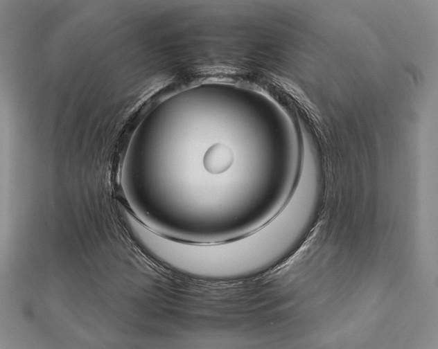 X0000112471209200908171151