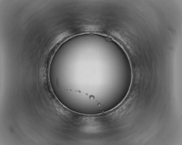 X0000112471211200908171151