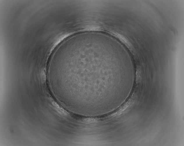 X0000112471212200908171151