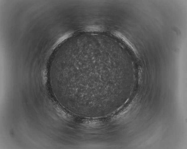 X0000112471213200908171151