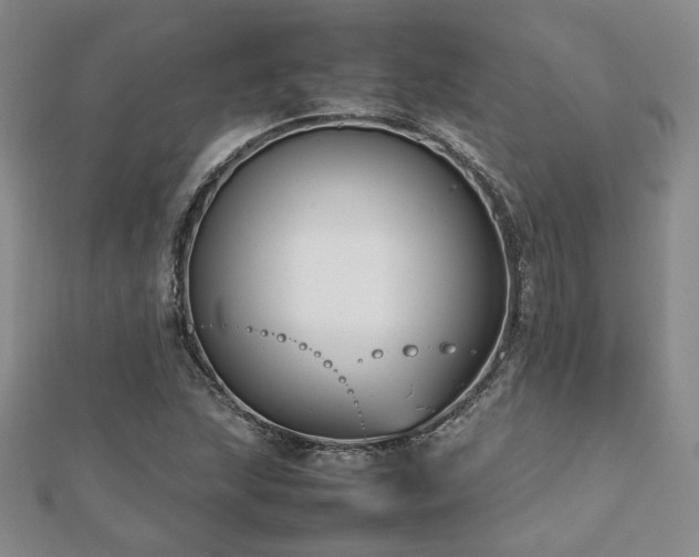 X0000112471215200908171151