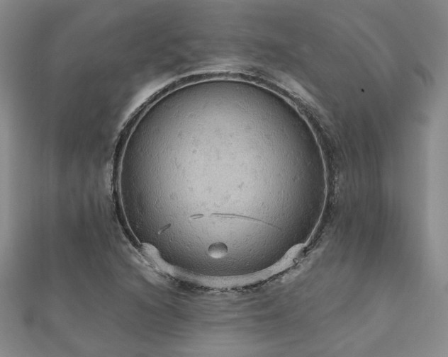 X0000112471216200908171151