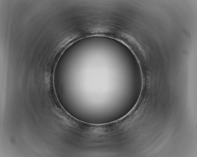 X0000112471217200908171151