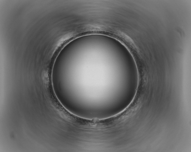 X0000112471218200908171151