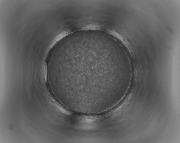 X0000112471219200908171151