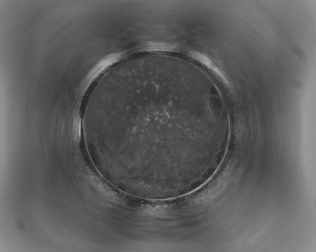 X0000112471221200908171151