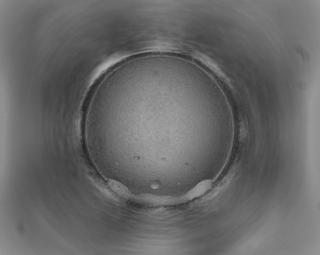 X0000112471222200908171151