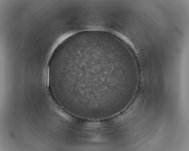 X0000112471223200908171151