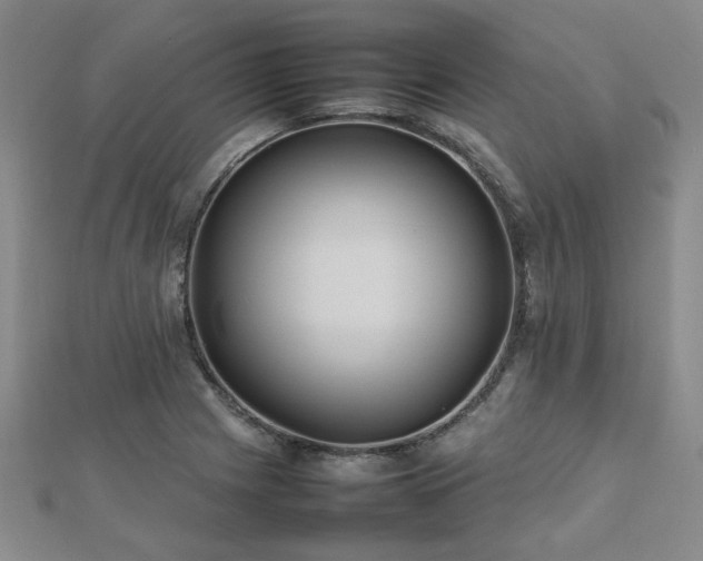 X0000112471225200908171151