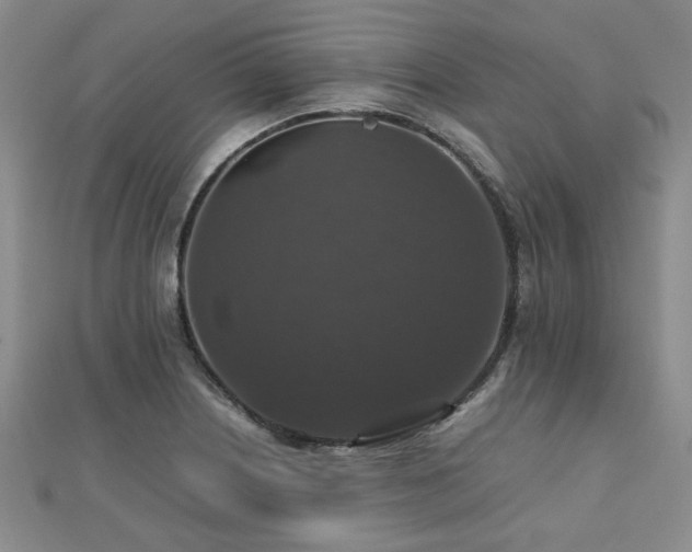 X0000112471226200908171151