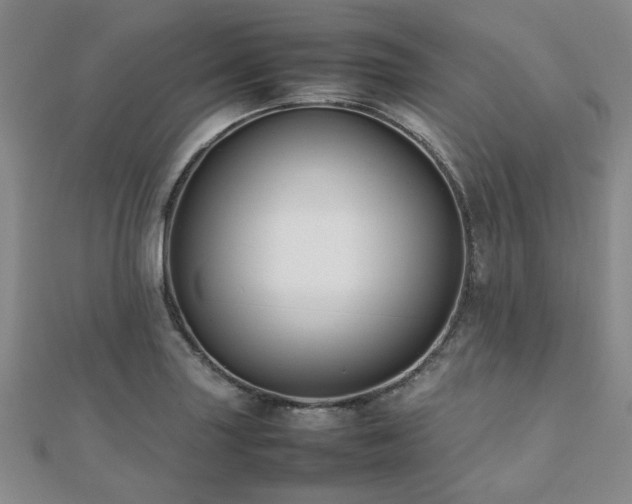 X0000112471227200908171151