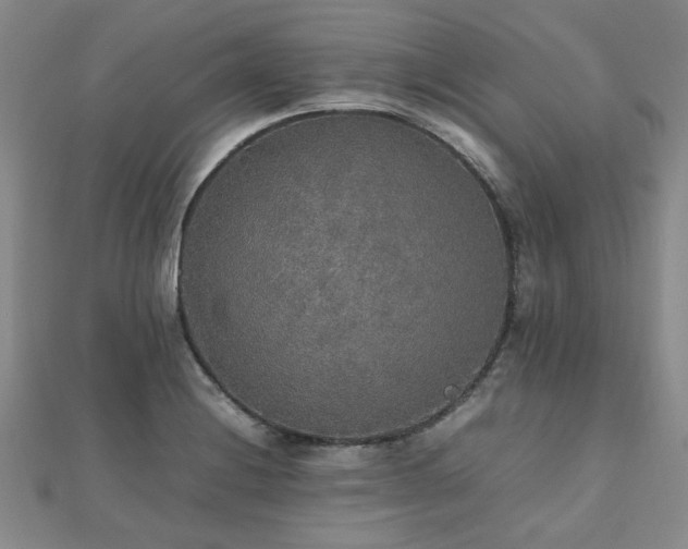 X0000112471228200908171151