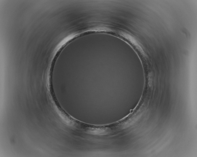 X0000112471229200908171151