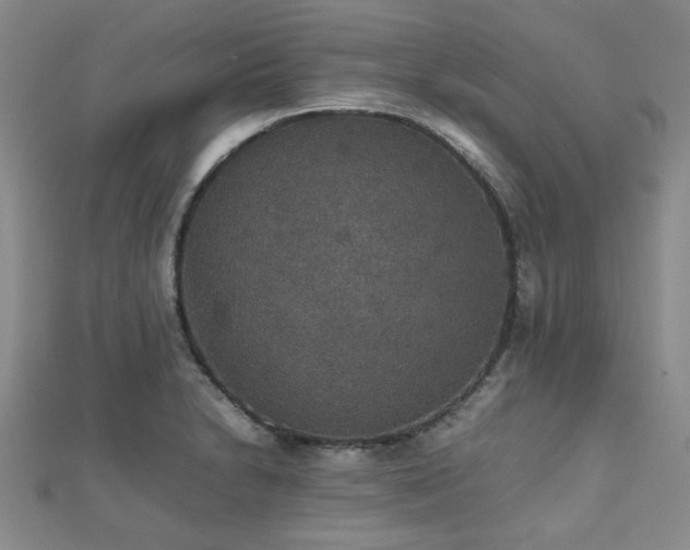 X0000112471230200908171151