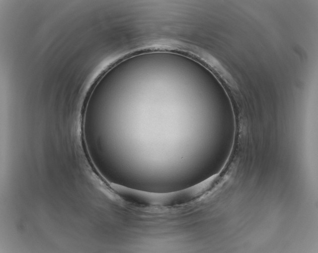 X0000112471232200908171151