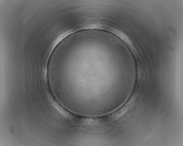 X0000112471234200908171151