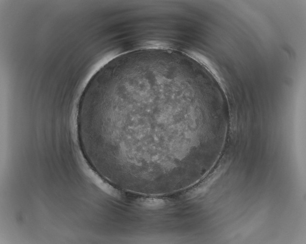 X0000112471235200908171151