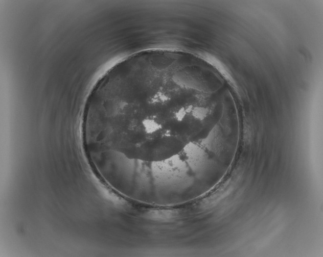 X0000112471237200908171152