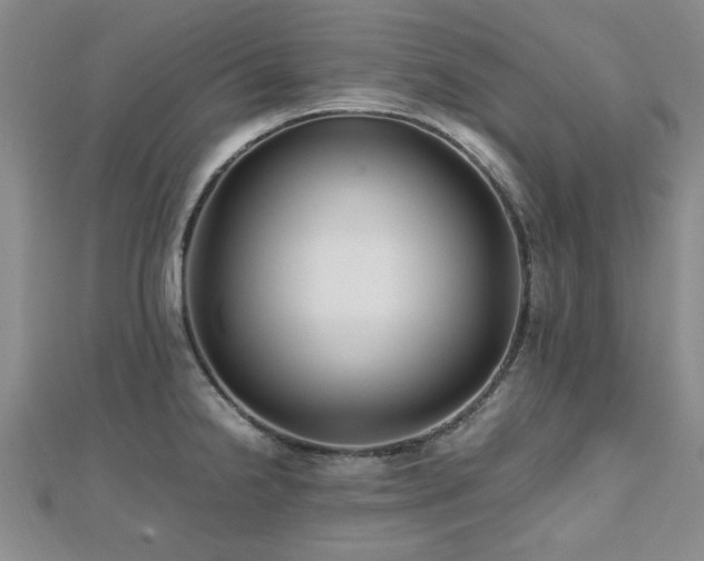 X0000112471238200908171152