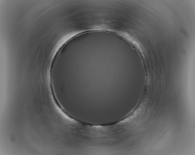 X0000112471239200908171152