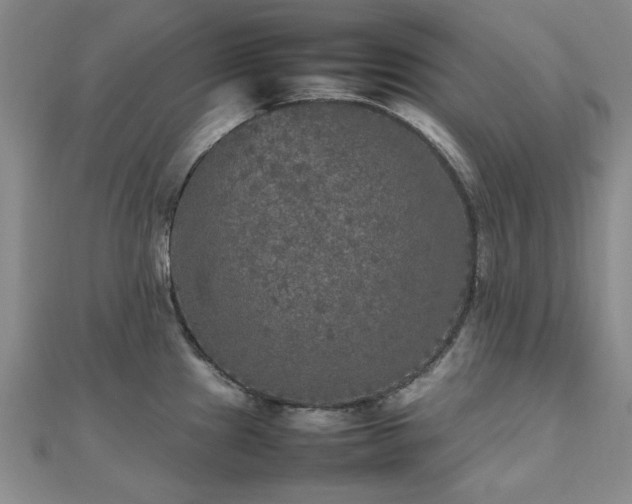 X0000112471241200908171152