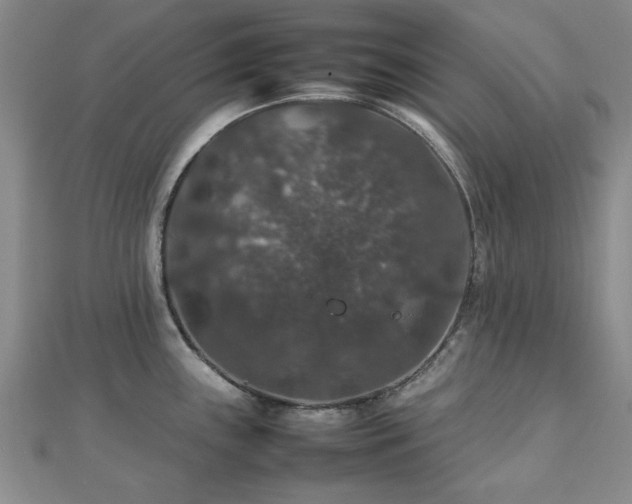 X0000112471243200908171152