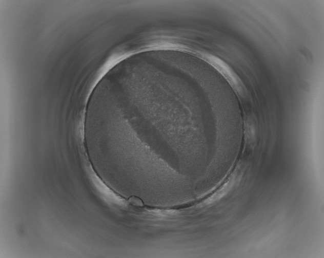 X0000112471244200908171152