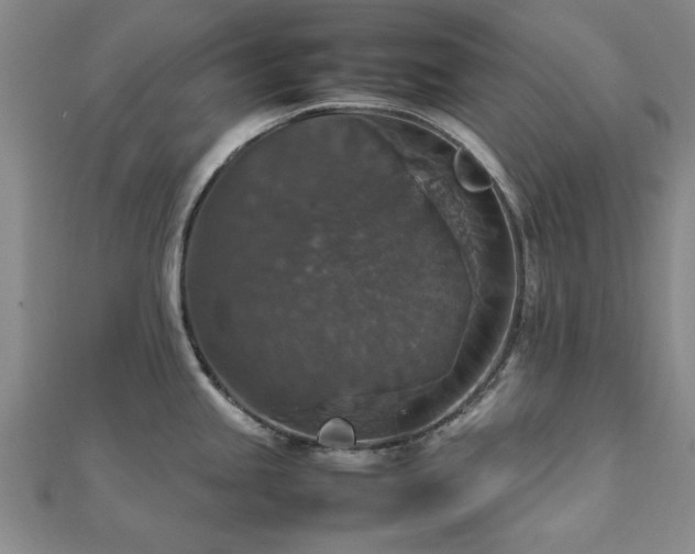 X0000112471245200908171152