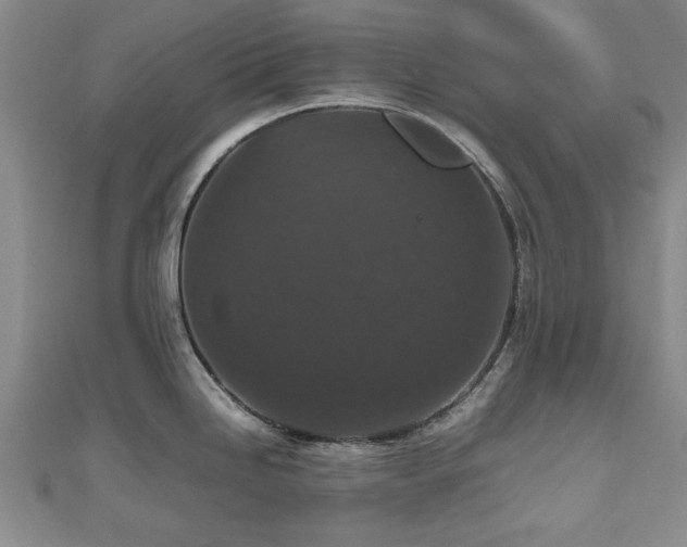 X0000112471246200908171152