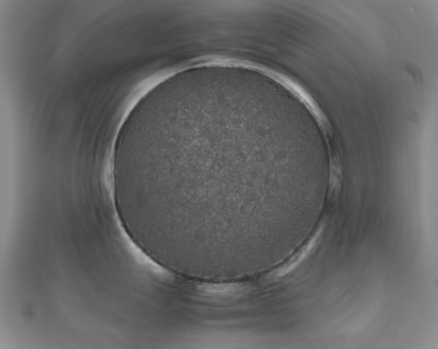 X0000112471247200908171152